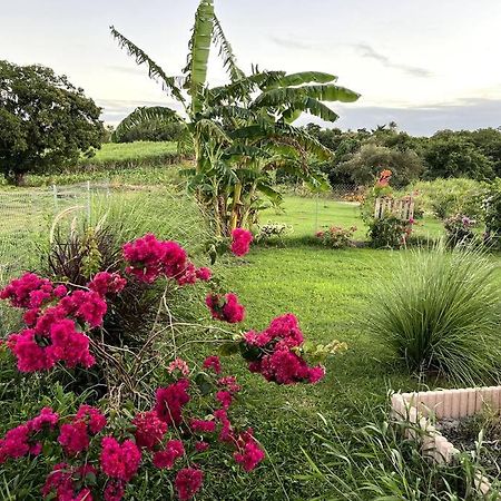 Jolie Petite Maison A La Campagne Le Moule Bagian luar foto